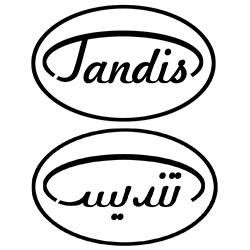 TandisShoes